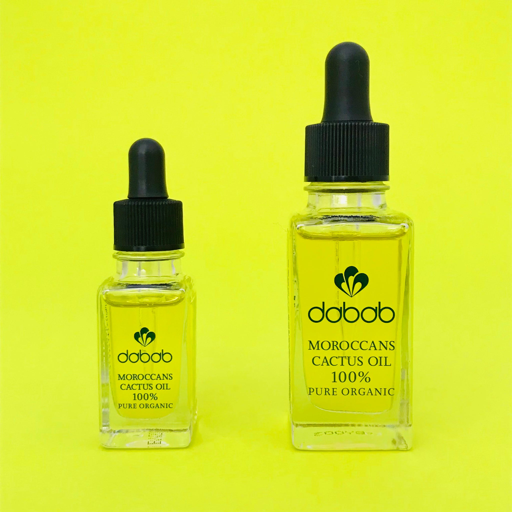 モロッカン カクタスオイル サボテンオイル ウチワサボテン種子オイル